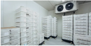 industrial refrigeration company	