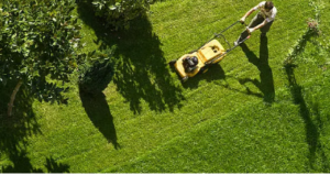 lawn mowing