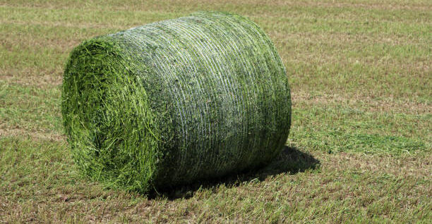 Net Wrap