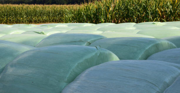 silage film