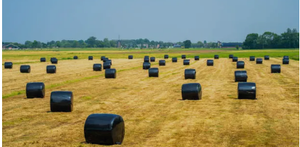 bale wrap