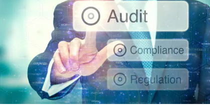 ndis audit support