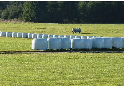 silage plastic